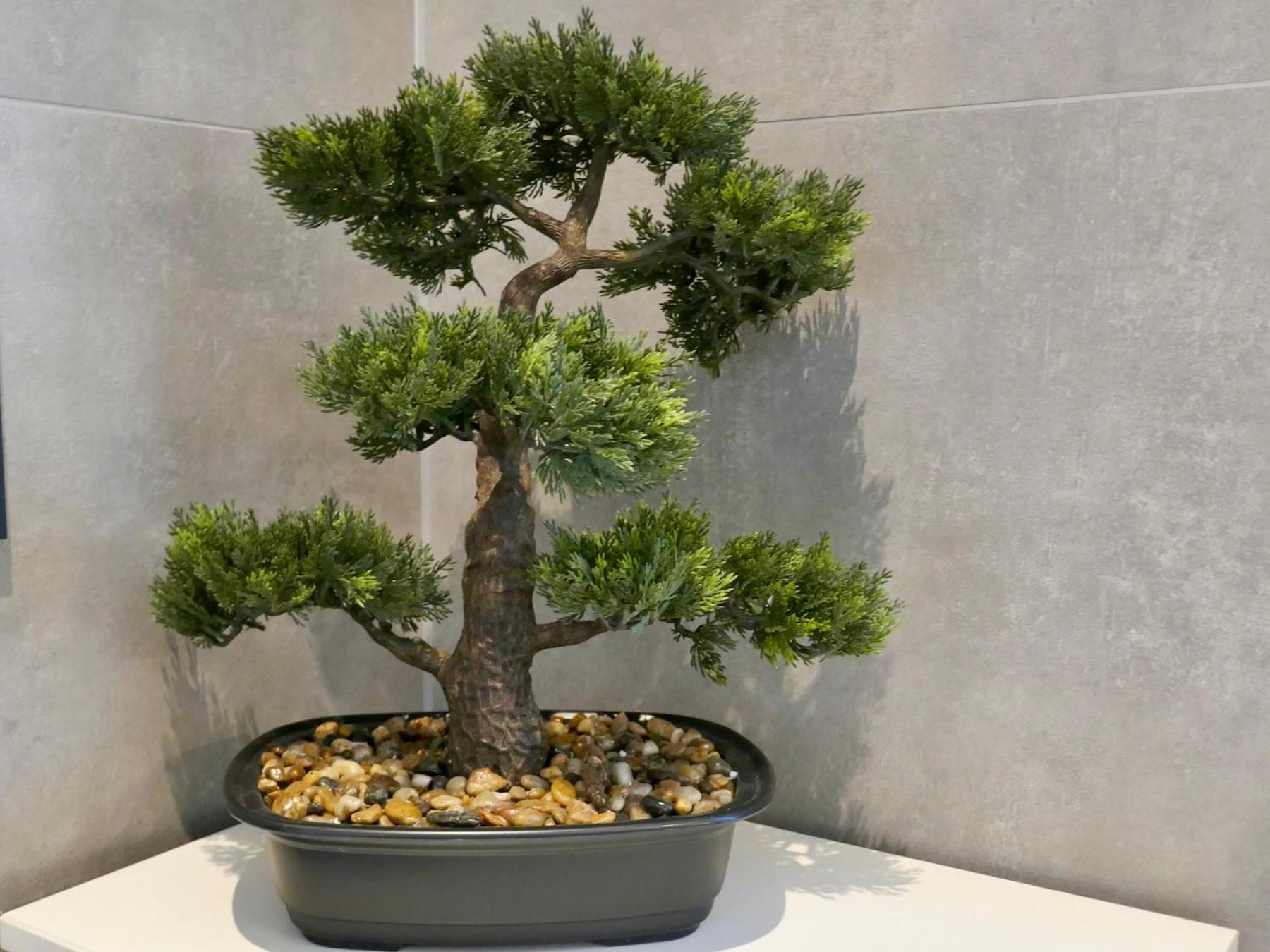 Ferienwohnung Lindauer Loewe ลินเดา ภายนอก รูปภาพ